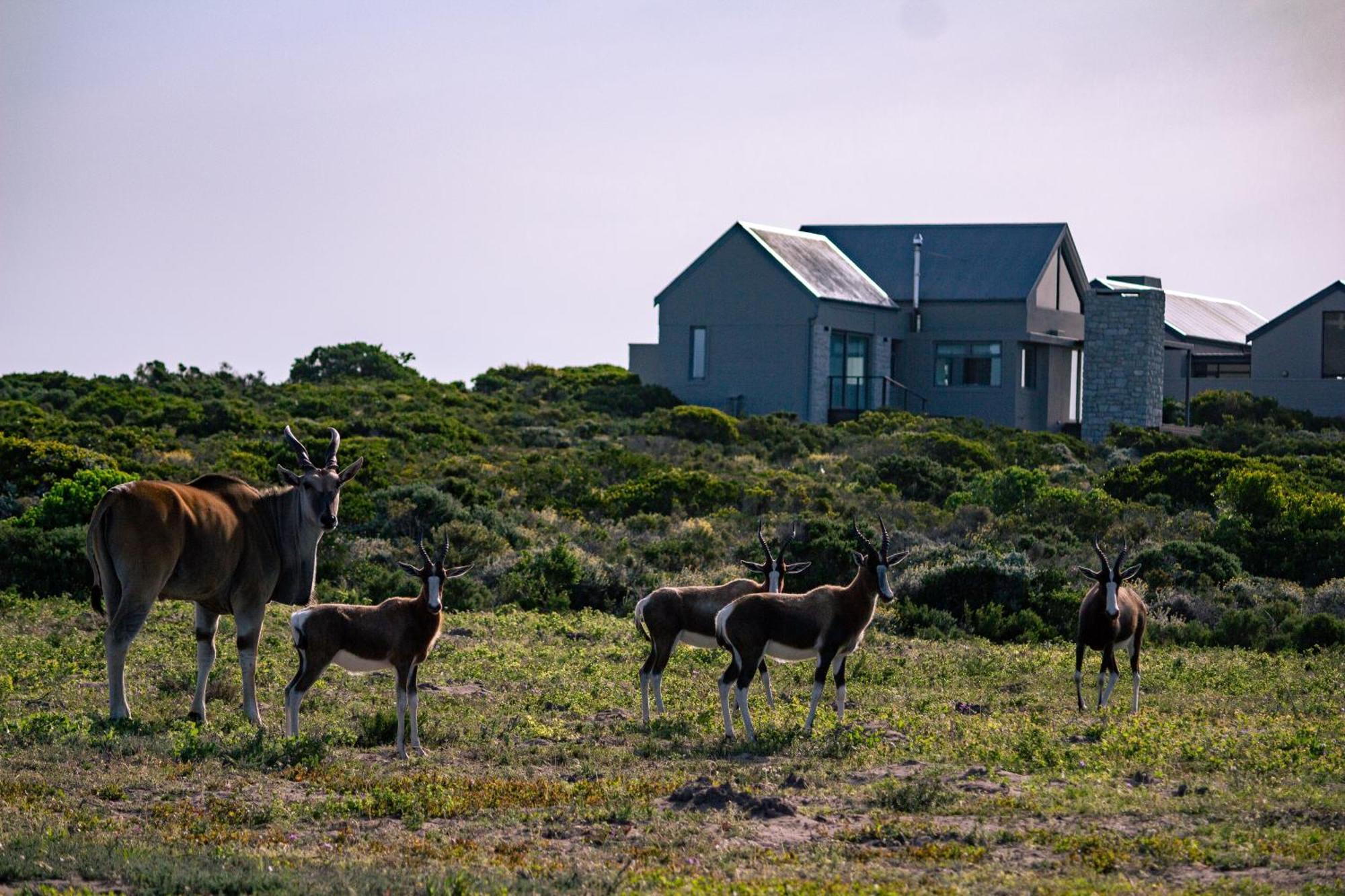 Solar-powered Oceanview Retreat- 131 Cormorant Villa *